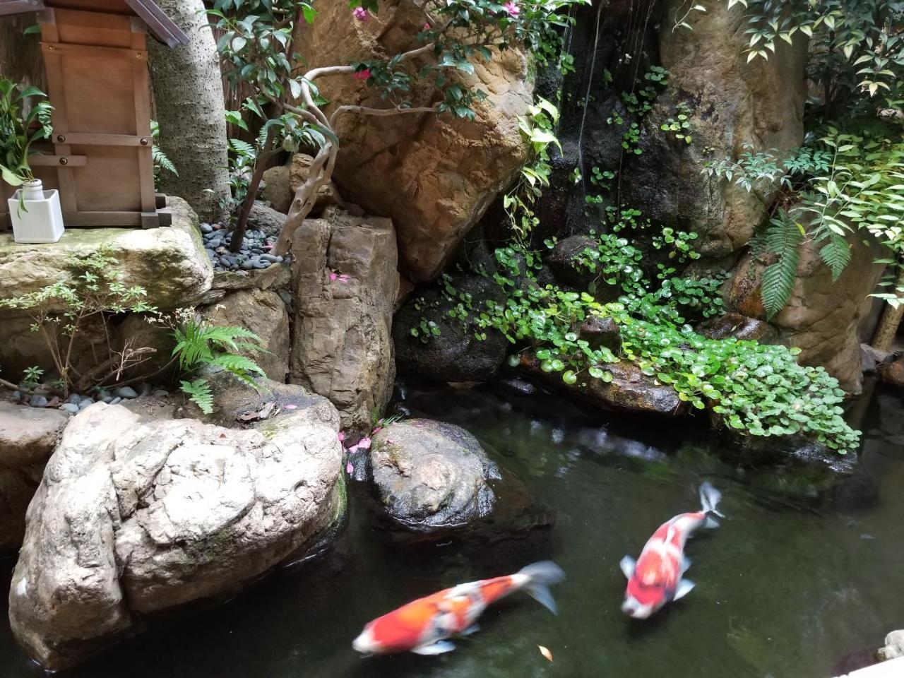 京都 萨瓦亚宏腾日式旅馆酒店 外观 照片